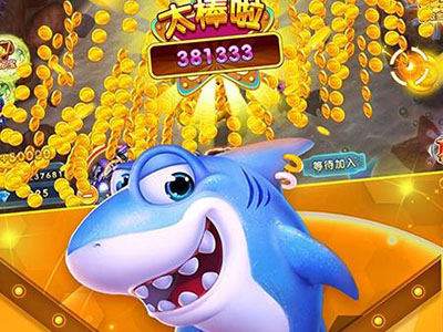十代星力平台全新